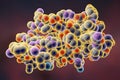 Molecular model of insulin molecule