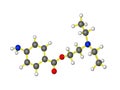 Molecular model of novocaine