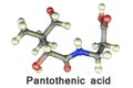 Molecular model of pantothenic acid, vitamin B5 Royalty Free Stock Photo