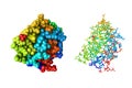 Molecular model of PROSS-edited human interleukin-24 (IL-24). Rendering based on protein data bank. Rainbow coloring