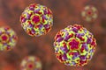 Molecular model of rhinovirus, the virus that causes common cold and rhinitis