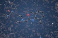 Lidocaine molecule. Ball-and-stick molecular model. Chemistry related 3d rendering