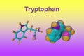 Molecular model of tryptophan, a naturally occurring essential amino acid that is crucial for the formation of proteins