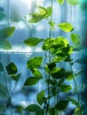Through molecular modeling biotechnologists unlock the secrets of photosynthesis aiming to replicate its energy efficiency Royalty Free Stock Photo