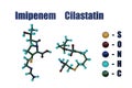 Molecular models of imipenem and cilastatin. This injection is used to treat bacterial infections. 3d illustration