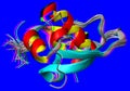 Molecular models of proteins as ribbons