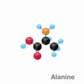 Molecular omposition and structure of Alanine, Ala, best for books and education