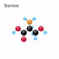 Molecular omposition and structure of Serine, Ser, best for books and education Royalty Free Stock Photo