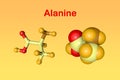 Molecular structure of alanine, an amino acid used in the biosynthesis of proteins. Scientific background. 3d Royalty Free Stock Photo