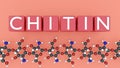 The molecular structure of Chitin and the word \