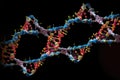 molecular structure of dna, with double helix and chromosomes visible