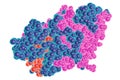 Molecular structure of enzyme nitric oxide reductase