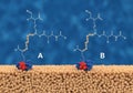 Molecular structure illustration showing two complex organic molecules labeled A Royalty Free Stock Photo