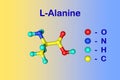 Molecular structure of l-alanine, an amino acid used in the biosynthesis of proteins. Medical background. Scientific Royalty Free Stock Photo