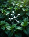 Molecular structure model surrounded by fresh green plant leaves. Atom molecule connection concept for bio tech, natural product Royalty Free Stock Photo