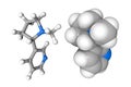 Molecular structure of nicotine. Atoms are represented as spheres with conventional color coding