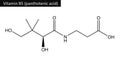 Molecular structure of panthotenic acid vitamin B5 Royalty Free Stock Photo