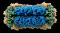 Molecular Structure of a Protein Complex With Intricate Detailed Textures Shown in Blue, Green, and Yellow Colors With a Royalty Free Stock Photo