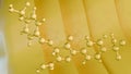 A molecular structure of tartrazine against the textured yellow background Royalty Free Stock Photo