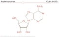 Molecule of Adenosine