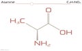 Molecule of Alanine