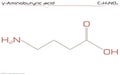 Molecule of Aminobutyric acid