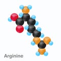 Molecule of Arginine, Arg, an amino acid used in the biosynthesis of proteins