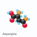 Molecule of Asparagine, Asn, an amino acid used in the biosynthesis of proteins