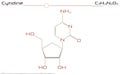 Molecule of Cytidine