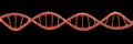 Molecule of DNA, double helix, 3D illustration