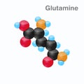 Molecule of Glutamine, Gln, an amino acid used in the biosynthesis of proteins