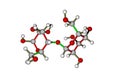 The molecule of lactose (milk sugar)