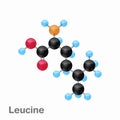 Molecular omposition and structure of Leucine, Leu, best for books and education