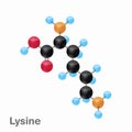 Molecular omposition and structure of Lysine, Lys, best for books and education