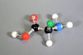 Molecule model of Amino acid. Royalty Free Stock Photo