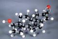 Molecule model of testosterone