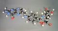 Molecule model of Vitamin B9. White is Hydrogen, black is Carbon, red is  Oxygen,  White is Hydrogen, black is Carbon, red is Royalty Free Stock Photo