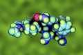 Molecule of oxytocin, a hormone released from the neurohypophysis Royalty Free Stock Photo