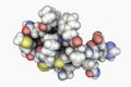 Molecule of scorpion chlorotoxin