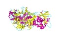 Molecule of shiga toxin. Shiga toxin produced by bacteria Shigella, which cause food-borne infection shigellosis or