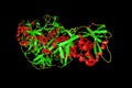 Molecule of shiga toxin. Shiga toxin produced by bacteria Shigella, which cause food-borne infection shigellosis or