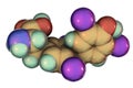 Molecule of thyroxine, a thyroid hormone
