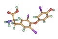 Molecule of triiodothyronine, a thyroid hormone