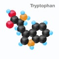 Molecule of Tryptophan, Trp, an amino acid used in the biosynthesis of proteins
