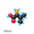 Molecule of Valine, Val, an amino acid used in the biosynthesis of proteins Royalty Free Stock Photo