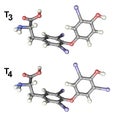 Molecules of thyroid hormones T3 and T4 Royalty Free Stock Photo