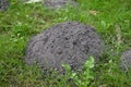 Molehill - freshly build Royalty Free Stock Photo