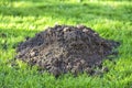 A molehill in a garden Royalty Free Stock Photo