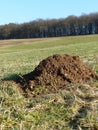 Molehill on meadow Royalty Free Stock Photo