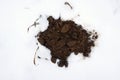 Molehill among the snow in winter Royalty Free Stock Photo